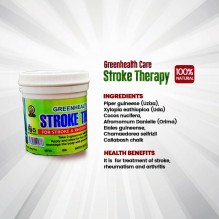Greenhealth Stroke Therapy